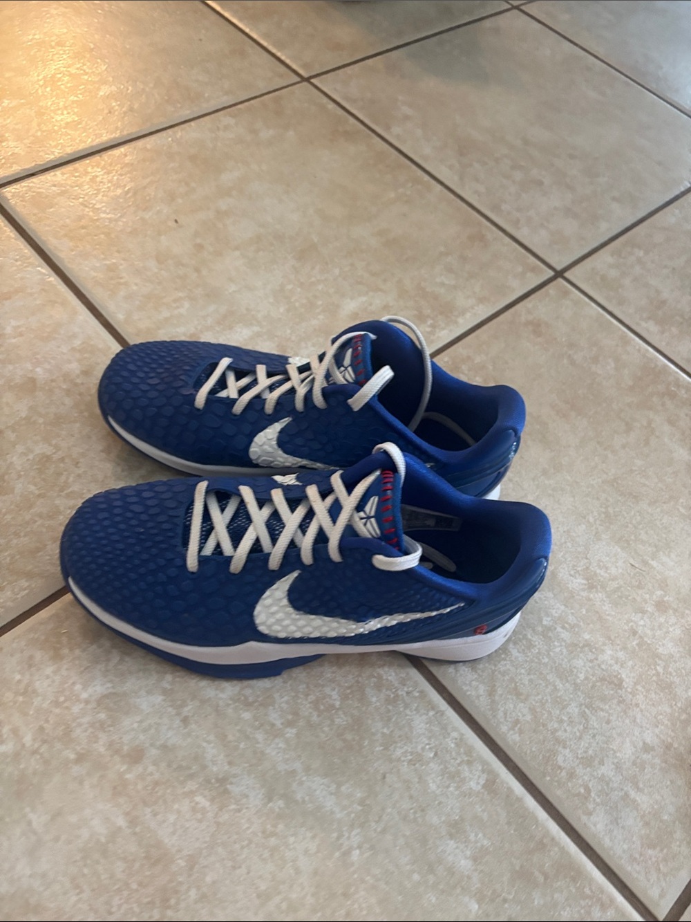 Nike Boys Royal Blue Sneakers with White Swoosh
